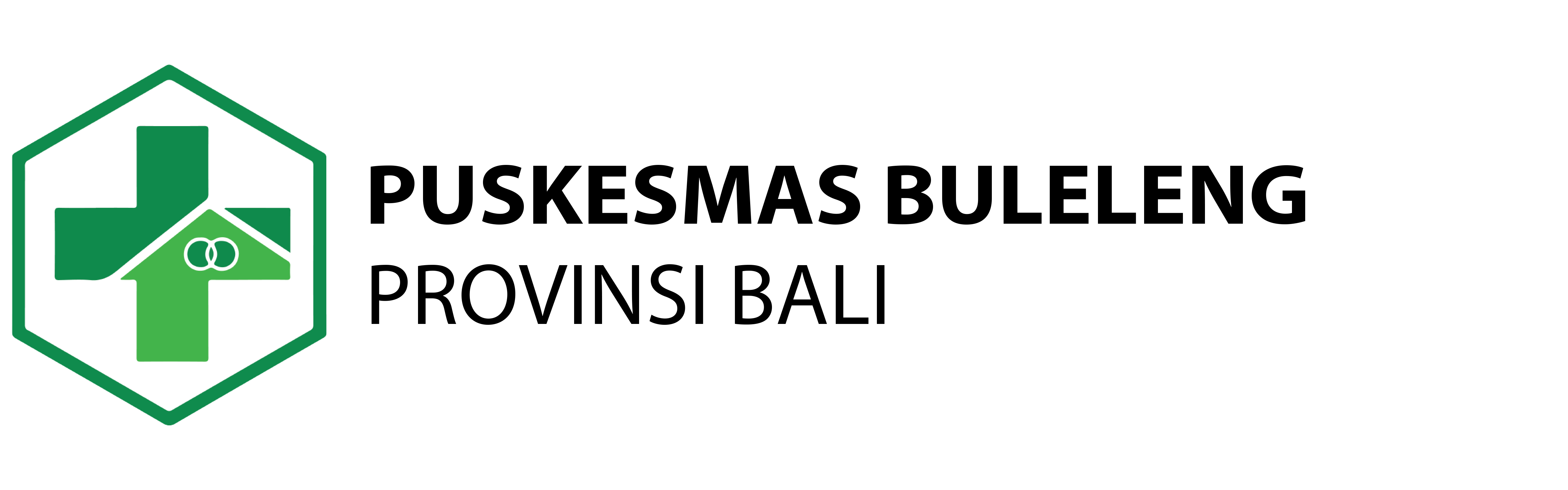 Logo Puskesmas